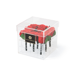 Maison de Hera Tender Box clear acrylic box with 9 preserved red roses
