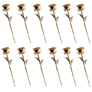 12 Golden Roses One Dozen