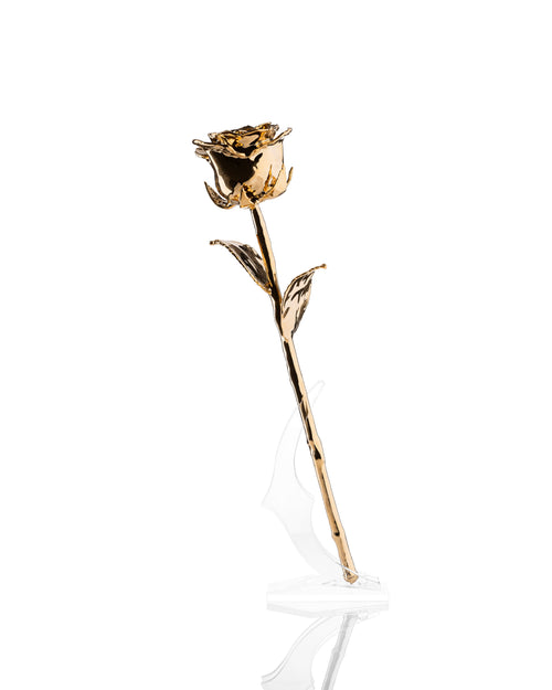 24K gold dipped rose on full length displayed on clear angled stand