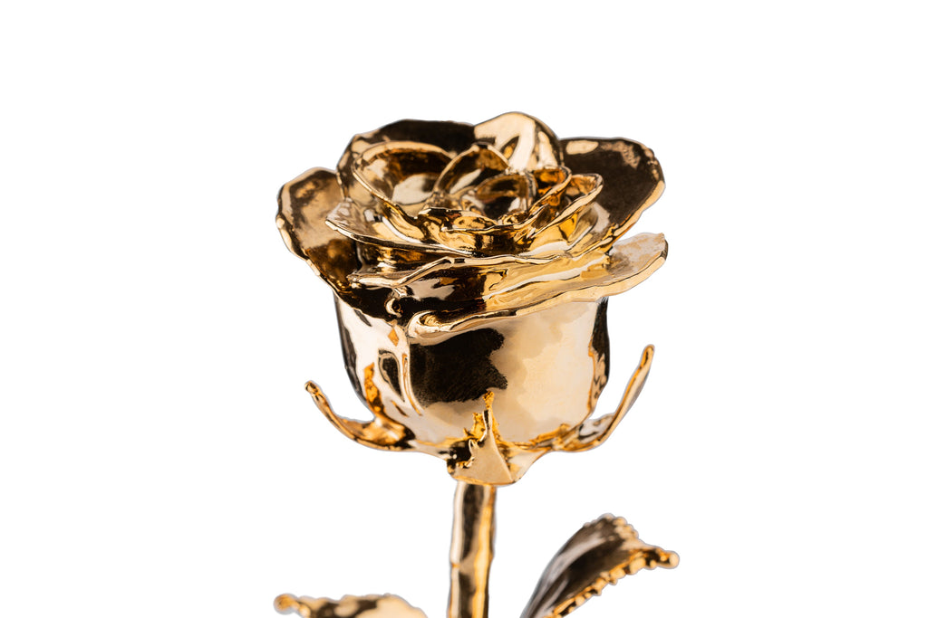 Macro close up of 24K gold dipped rose bloom showing reflective gold petal texture