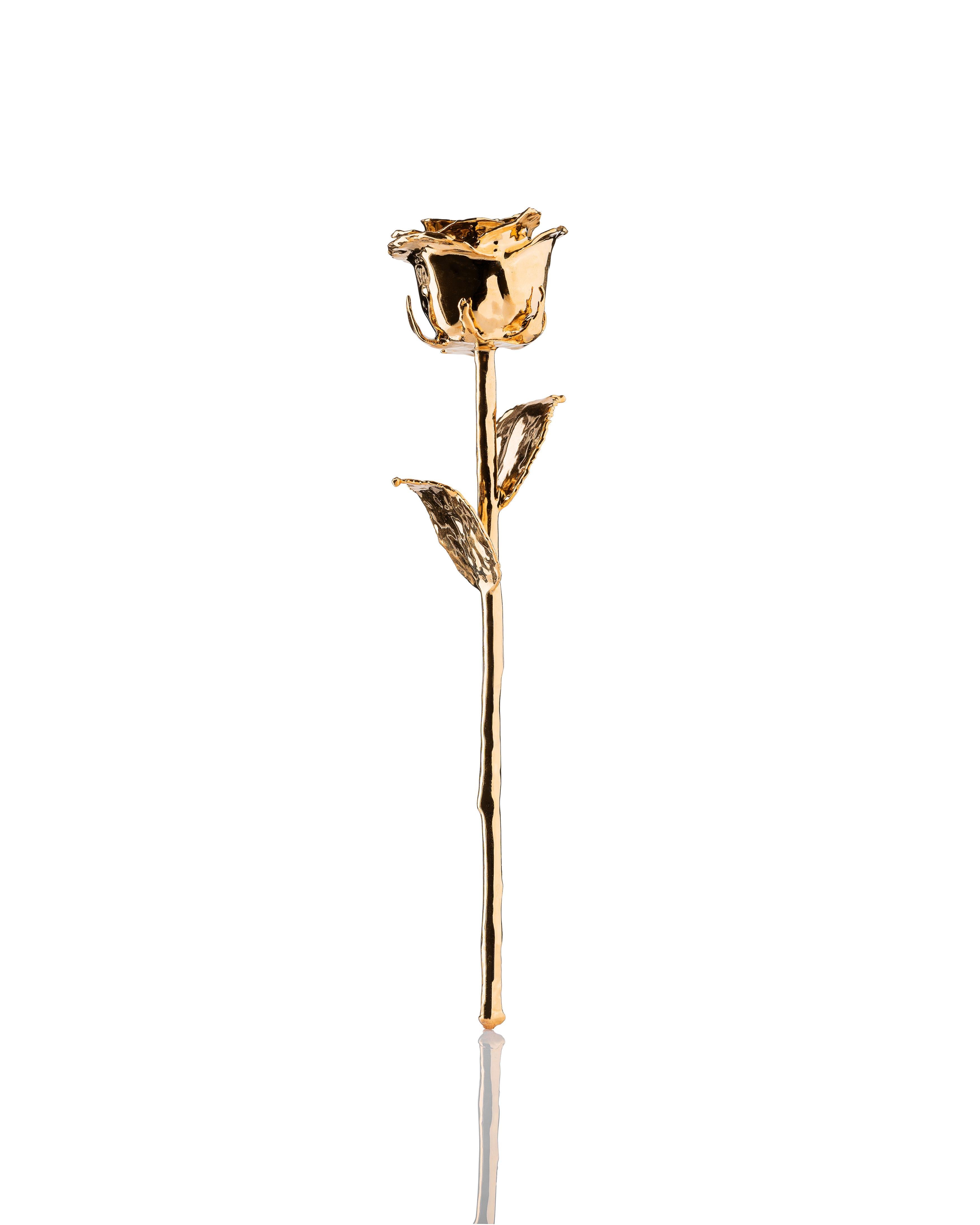 24K gold dipped rose standing upright with soft reflection on white background