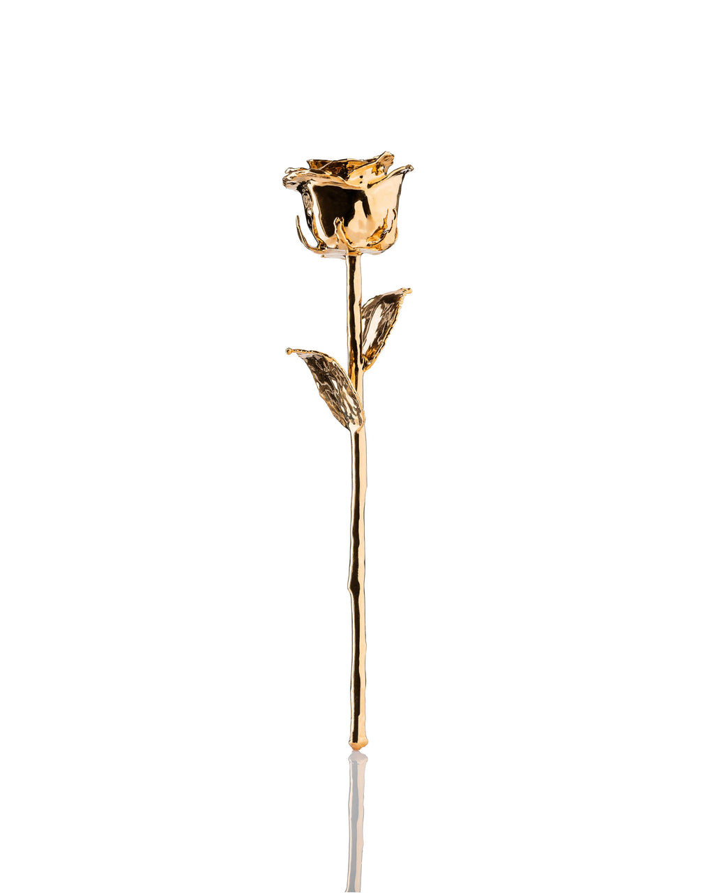 24K gold dipped rose standing upright with soft reflection on white background
