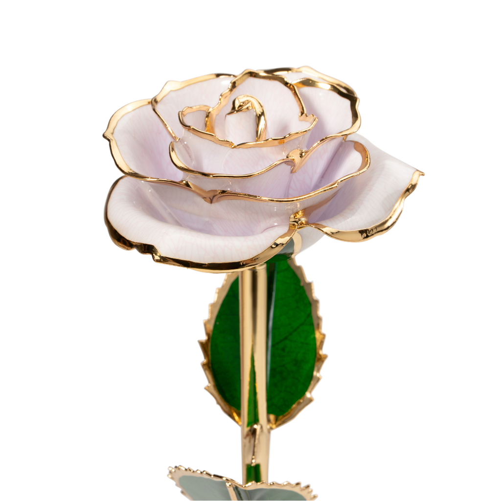 Close up of 24K gold dipped beige rose with beige enamel petals and gold trim