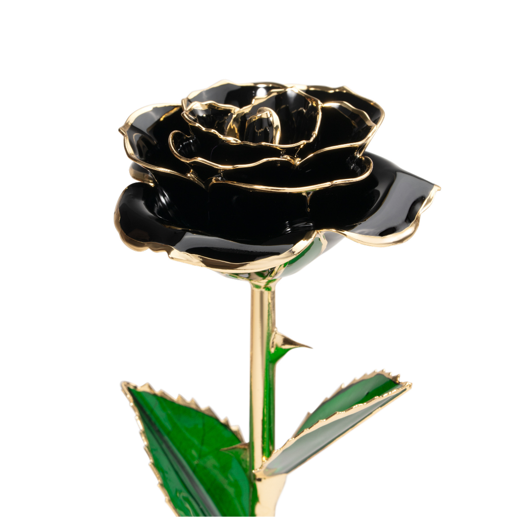 Close up of 24K gold dipped black rose with black enamel petals and gold trim