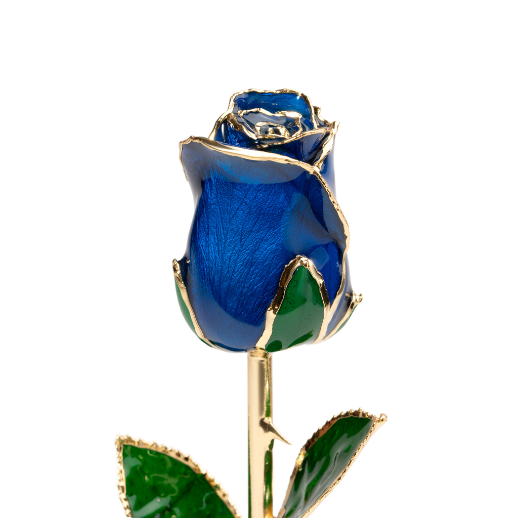 Close up of 24K gold dipped blue rose with blue enamel petals and gold trim, Elegante edition