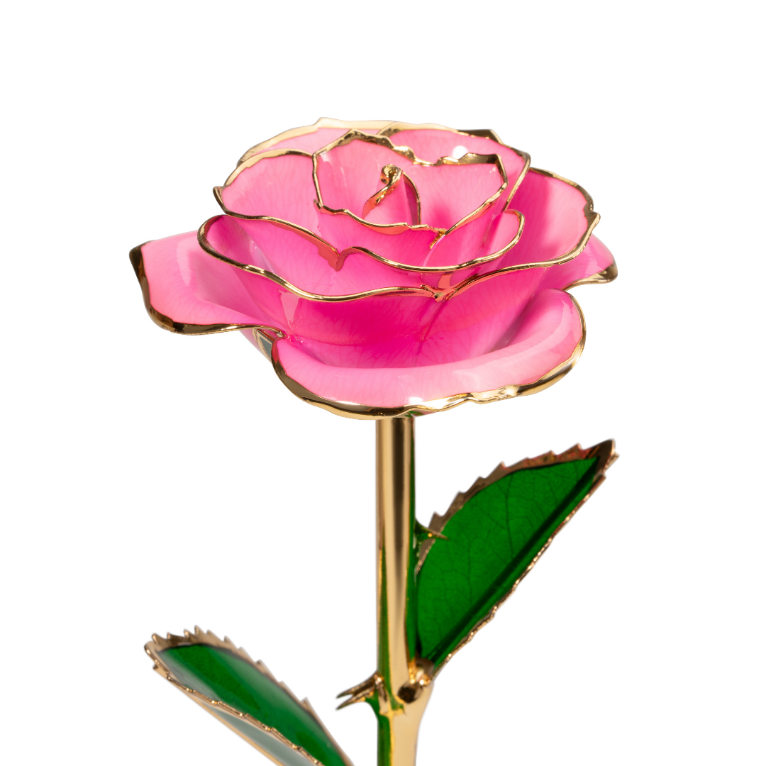 Close up of 24K gold dipped pink rose with pink enamel petals and gold trim