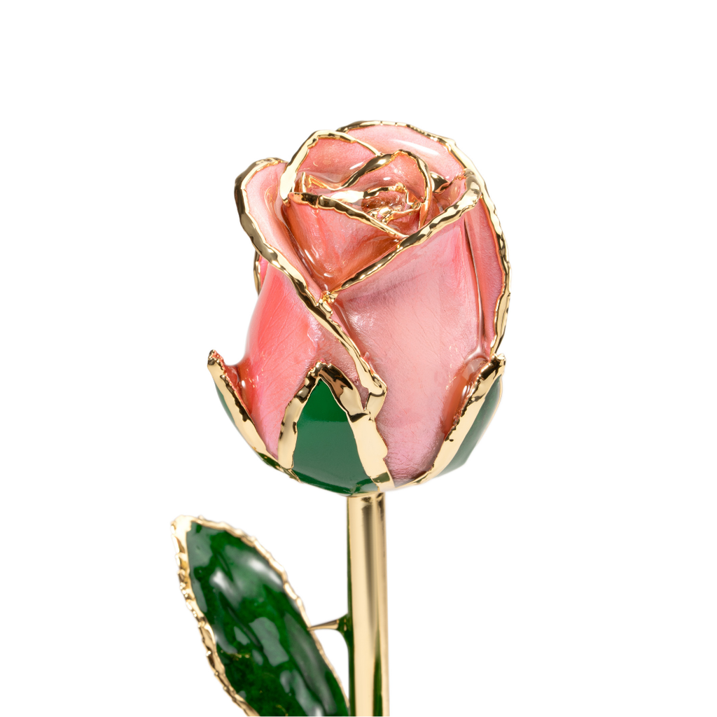 Close up of 24K gold dipped pink rose with pink enamel petals and gold trim, Elegante edition