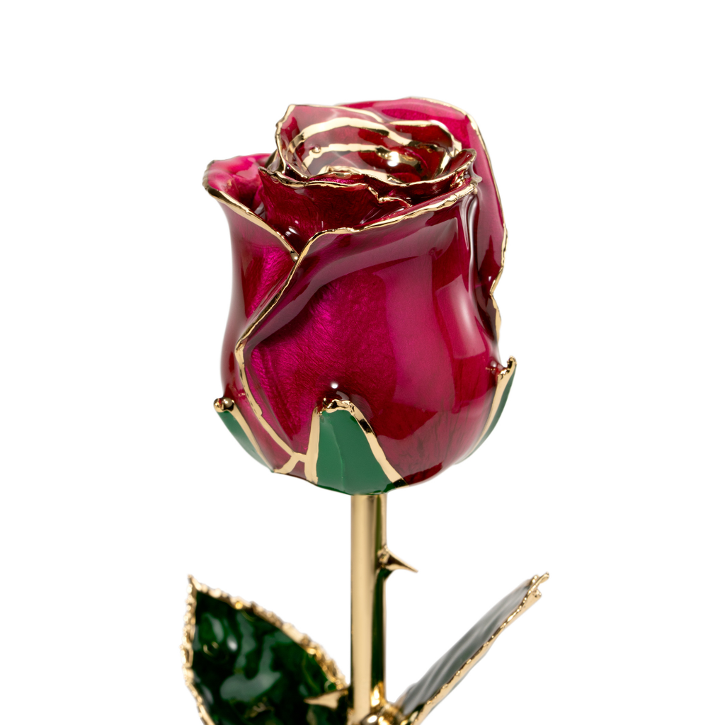 Close up of 24K gold dipped purple rose with magenta enamel petals and gold trim, Elegante edition