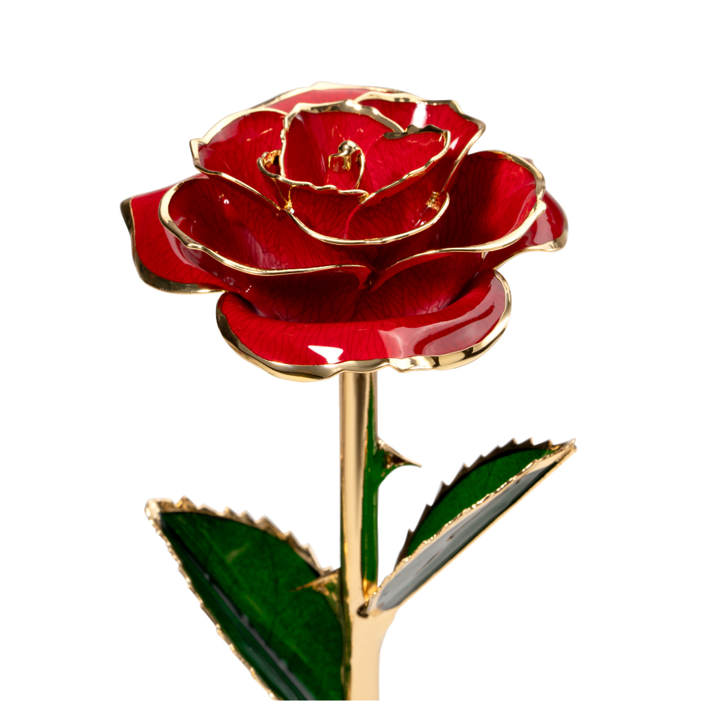 Close up of 24K gold dipped red rose with red enamel petals and gold trim