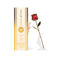 Maison de Hera Blanc box next to 24K gold dipped red rose with green enamel leaves, Elegante edition