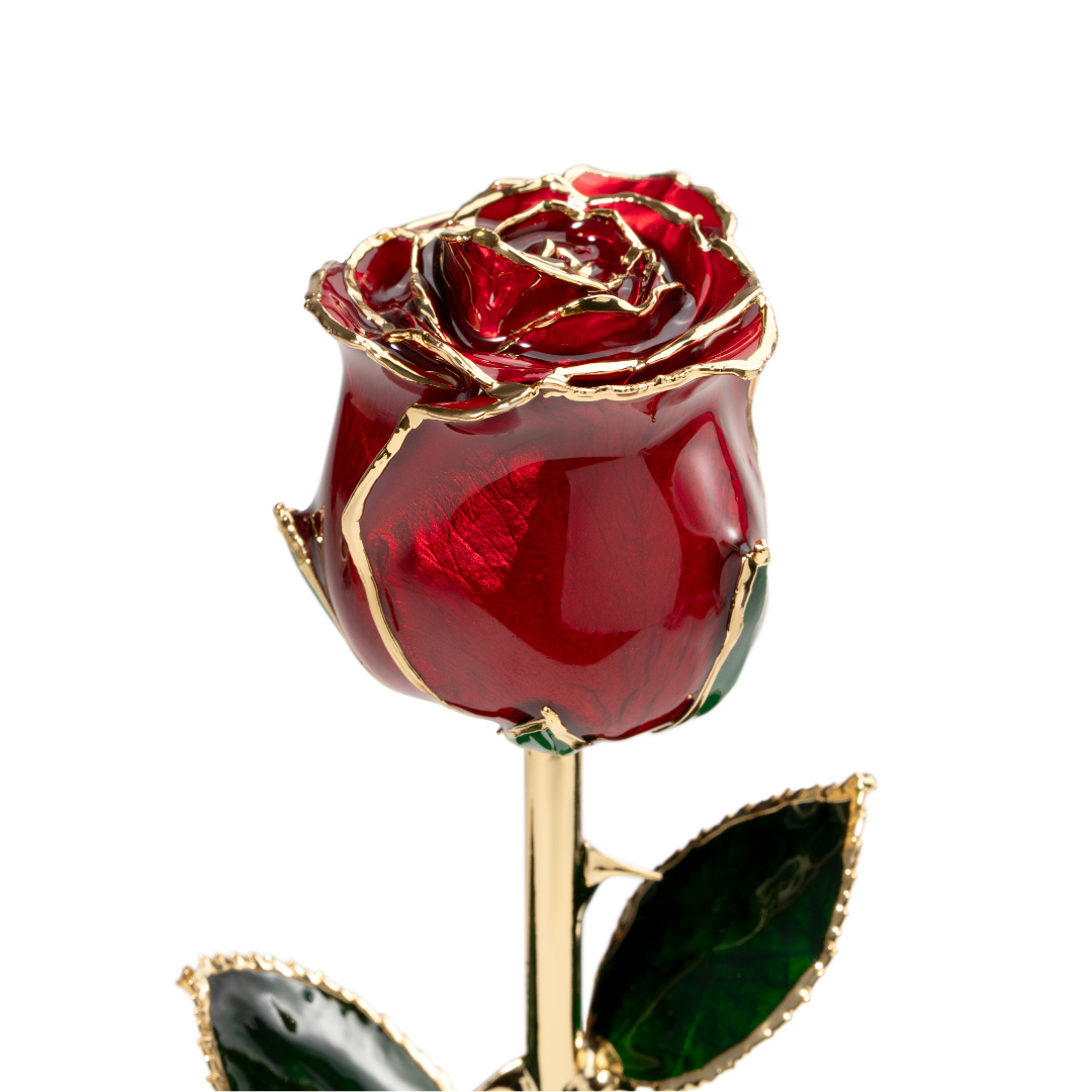 Close up of 24K gold dipped red rose with red enamel petals and gold trim, Elegante edition