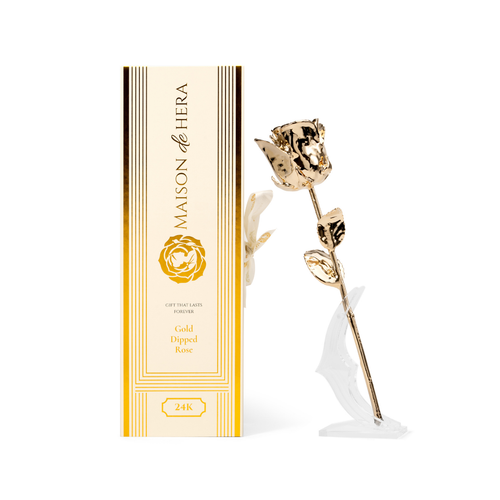 Maison de Hera Blanc Edition ivory box next to 24K gold dipped rose on clear stand