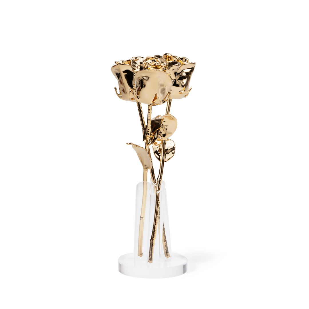 Three 24K gold dipped roses displayed together on Maison de Hera clear stand